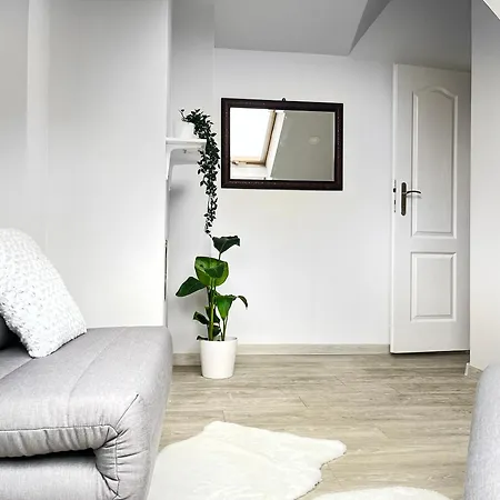 Spacious With 5 Bedrooms And 2 Bathrooms For 12 Guest In Cracow Old Town Apartmán *