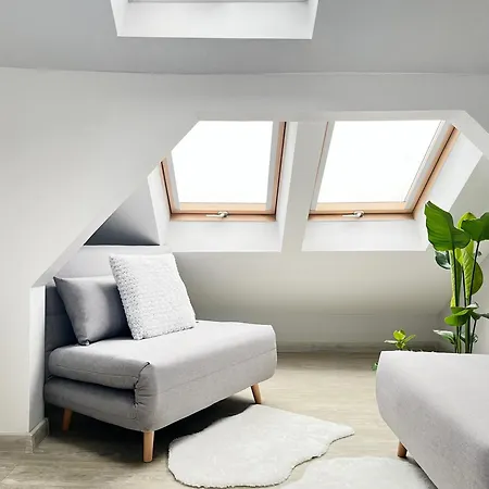 Spacious With 5 Bedrooms And 2 Bathrooms For 12 Guest In Cracow Old Town * Cracovie