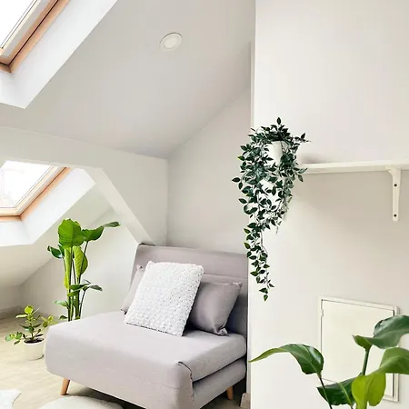Spacious With 5 Bedrooms And 2 Bathrooms For 12 Guest In Cracow Old Town *