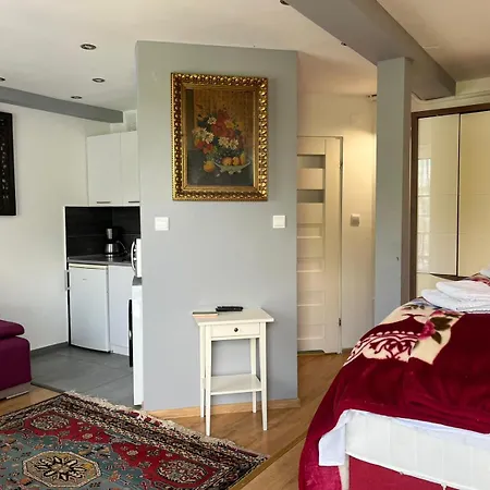 Spacious With 5 Bedrooms And 2 Bathrooms For 12 Guest In Cracow Old Town *